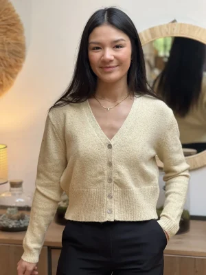 Mademoiselle Marcelle Gilets Et Pulls*Gilet Osine